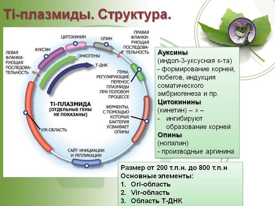 Кракен рабочий сайт