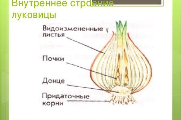 Какая ссылка на кракен